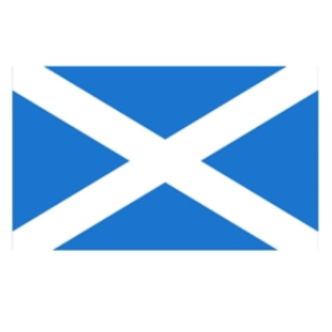 Scottish Saltire Flag