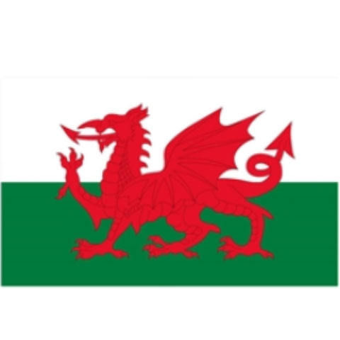 Welsh Red Dragon Flag